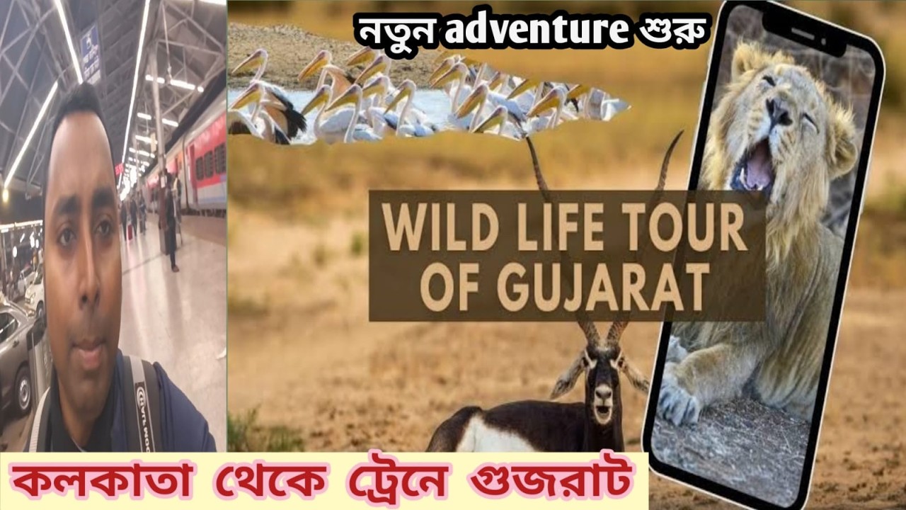 Into the Wild Gujarat 🌿🦁 | Solo Bengali Traveler’s Adventure😱Crazy Long Train Journey