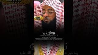 من المؤمنين رجال صدقوا ما عاهدوا الله عليه، التلاوة الشهيرة للشيخ بدر التركي