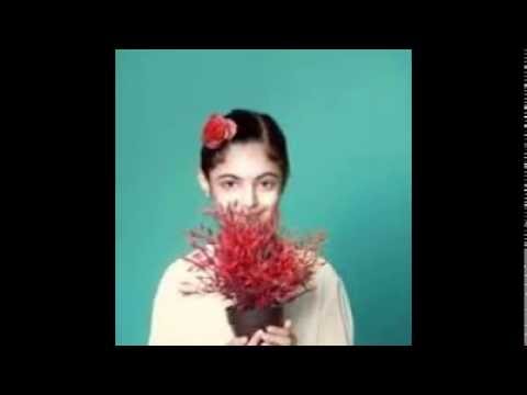 راما رباط 2016