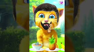 Talking Ginger Funny Video 🐈| talking ginger 2 | talking ginger cat | ginger 2 | ginger cat |