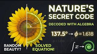 The Secret Math Nature Uses to Build Everything