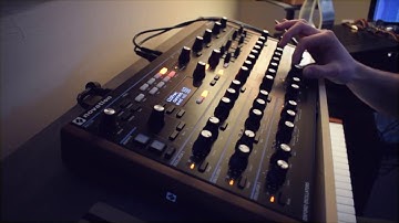 Novation Peak - Ambient Arpeggiator Patch from Scratch