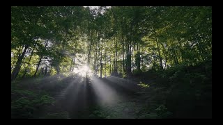 Reimagine your climate reporting capabilities screenshot 2