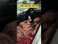नवीन sir wife #newsong #song #music #punjabi #punjabisong #rwa #nit #cricketworldcup #viral