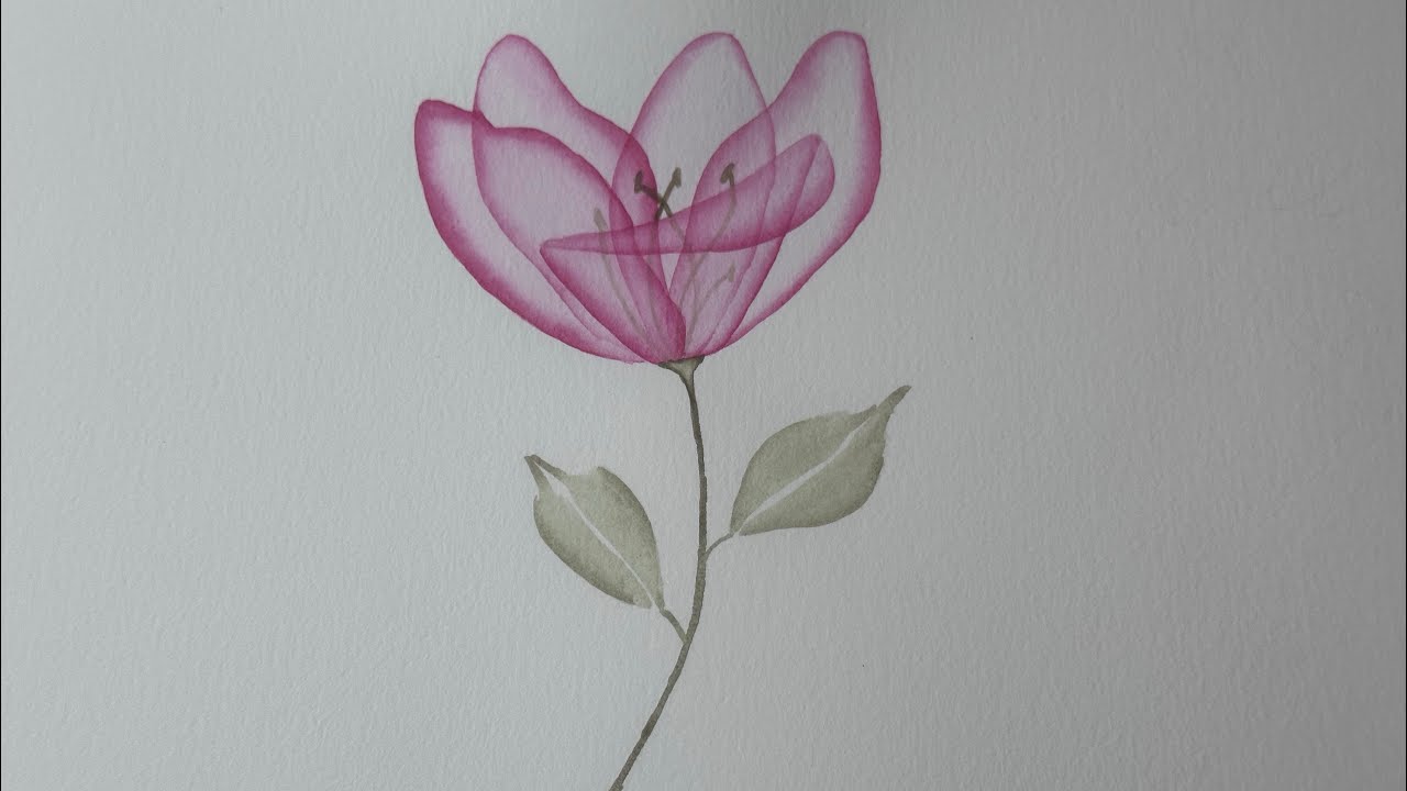 Beginner-intermediate transparent flower. #watercolor #transparentflowers 