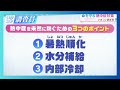 水だけじゃダメ?プロ直伝!命を守る「熱中症対策」|いまコレ調査員(2026年6月5日放送)