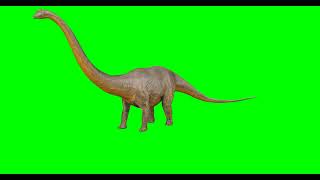 Free Green Screen Video Download Dinosaur [4K]