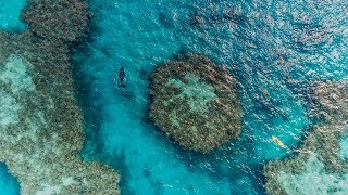The Reef Beneath