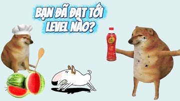 Ding Ding memes: bạn đã đạt tới level nào?