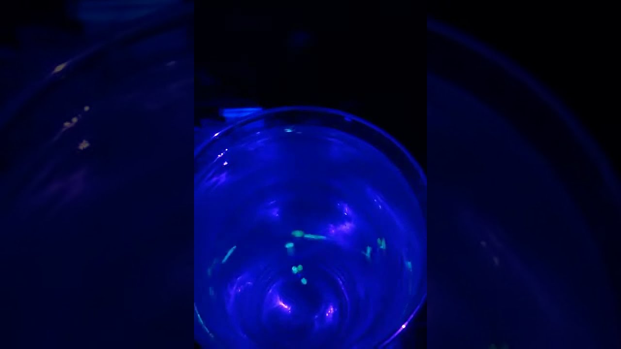 tanago,  оснастка винт в УФ.