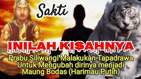 Prabu Siliwangi Tapadrawa mengubah wujudnya menjadi Maung bodas (Harimau Putih)