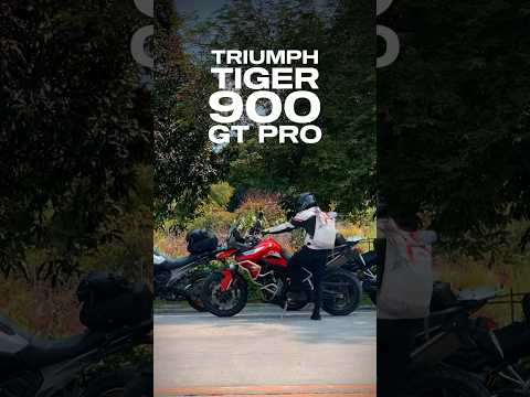 Tiger 900 GT