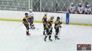 Great Neck Bruins @ Aviators