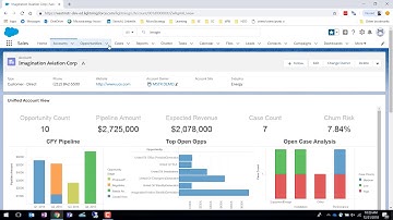 MicroStrategy Dossier inside SalesForce