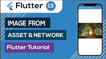 13. Image from asset and network in Flutter | Flutter Tutorial Bangla