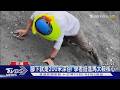 汛期到來 馬太鞍溪上游2億方土砂是隱患｜TVBS新聞 @TVBSNEWS01
