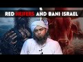 History of red heifers and bani israel  the rise of anti christ  engineer muhammad ali mirza