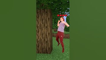 If Minecraft was actually realistic