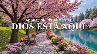3 HORAS - MUSICA INSTRUMENTAL CRISTIANA PARA ORAR *SIN ANUNCIOS INTERMEDIOS - INSTRUMENTAL PARA ORAR