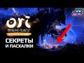 CЕКРЕТЫ И ПАСХАЛКИ | Ori and the Blind Forest: Definitive Edition