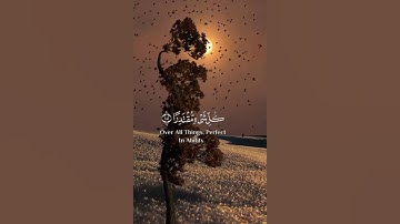 قرآن كريم بصوت جميل #قران_كريم #اكسبلور #راحة_نفسية #quran #لايك