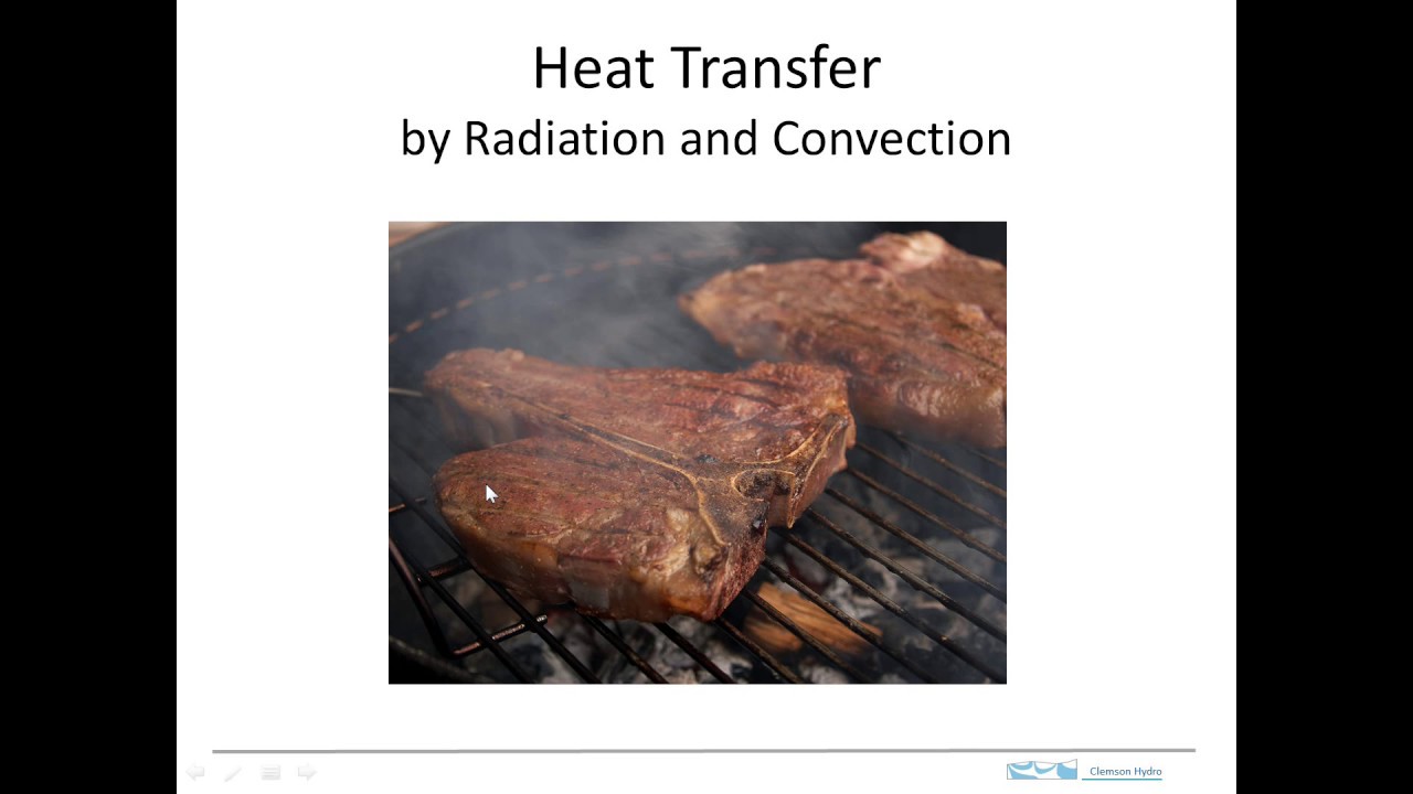 Heat transfer during grilling a steak YouTube