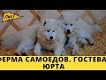 Ферма Самоедов. Гостевая Юрта. Юрты Сибири