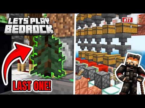 My Tree Farm Never Runs Out! | Let's Play Bedrock Episode 077