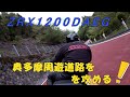 ZRX1200DAEG 奥多摩周遊道路をケイパンダエグで攻める！