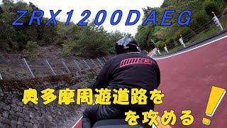 ZRX1200DAEG 奥多摩周遊道路をケイパンダエグで攻める！