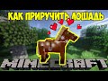 Как приручить лошадь в Майнкрафте? Все возможности лошади в игре