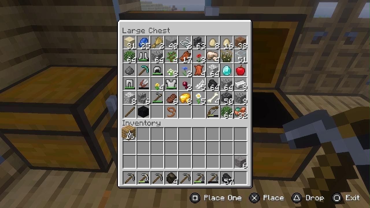 Minecraft_20260303155611