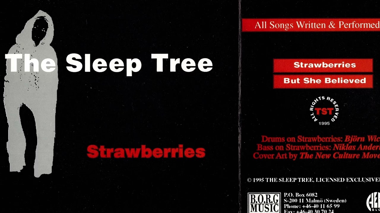 The Sleep Tree - Strawberries (SWE CDs 1995 ALT POP)