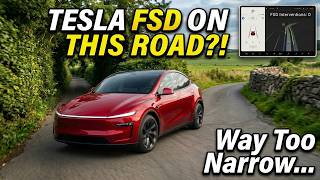 Does Tesla FSD Struggle on Tight Rural Roads? screenshot 4