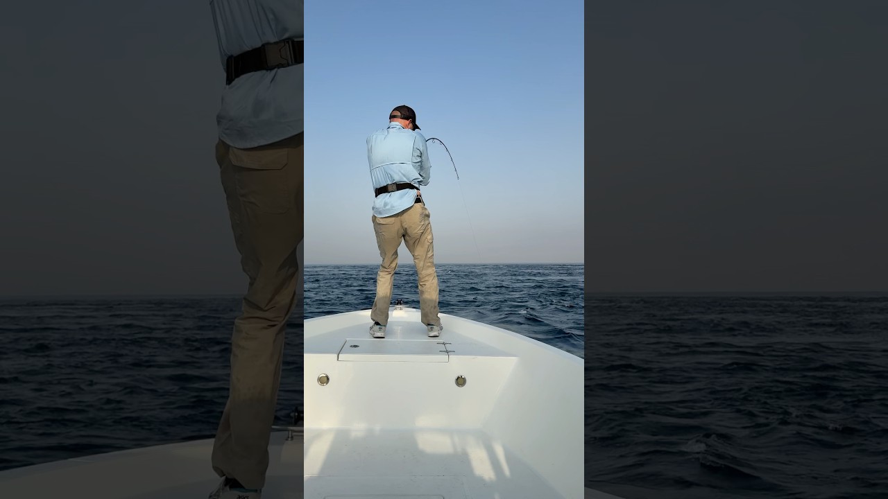 Как вытащить эту рыбу ? 