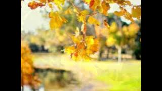 Hans Zimmer - Maestro (extended version)