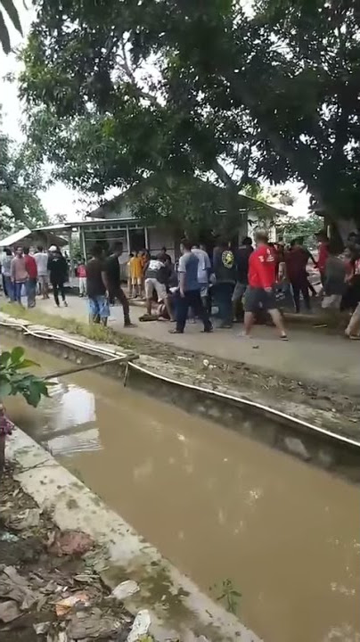 keributan Parak Andi putra 1 ‼️ gara gara di selang rabine