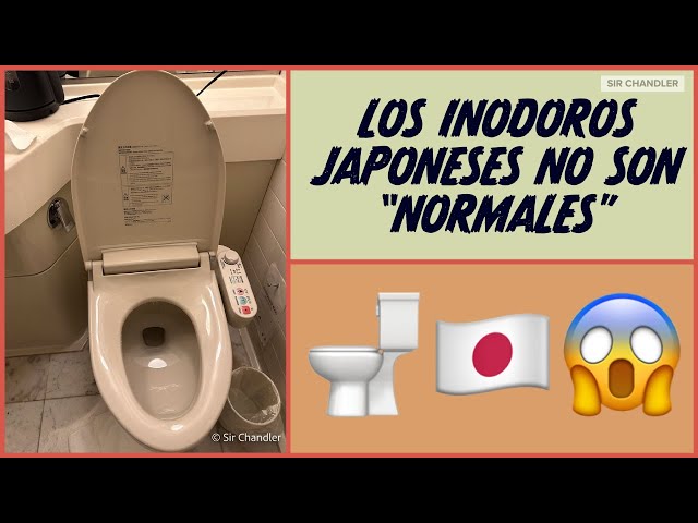 Historia de los inodoros japoneses - Nashi