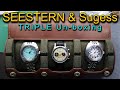 SEESTERN & Sugess DOXA and Breitling Homage - Triple Unboxing $179 Mechanical Chrono and Divers