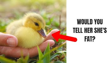 Simple and Useful Tips To Overcome Negative Self Talk