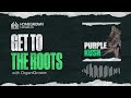 Purple Kush Strain Review | Get To The Roots with Homegrown Cannabis Co.