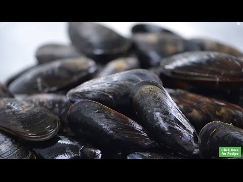 How To Clean Mussels-11-08-2015