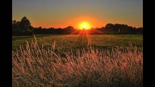 Finding Peace Beyond Sunset