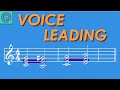 How to Get From Chord To Chord - Voice Leading Music Theory