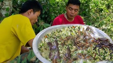 Gỏi Ấu Trùng Chuồn Chuồn, Gỏi Nòng Nọc Nhảy. Món Ăn Dân Dã Tây Bắc | Trai Rừng TV