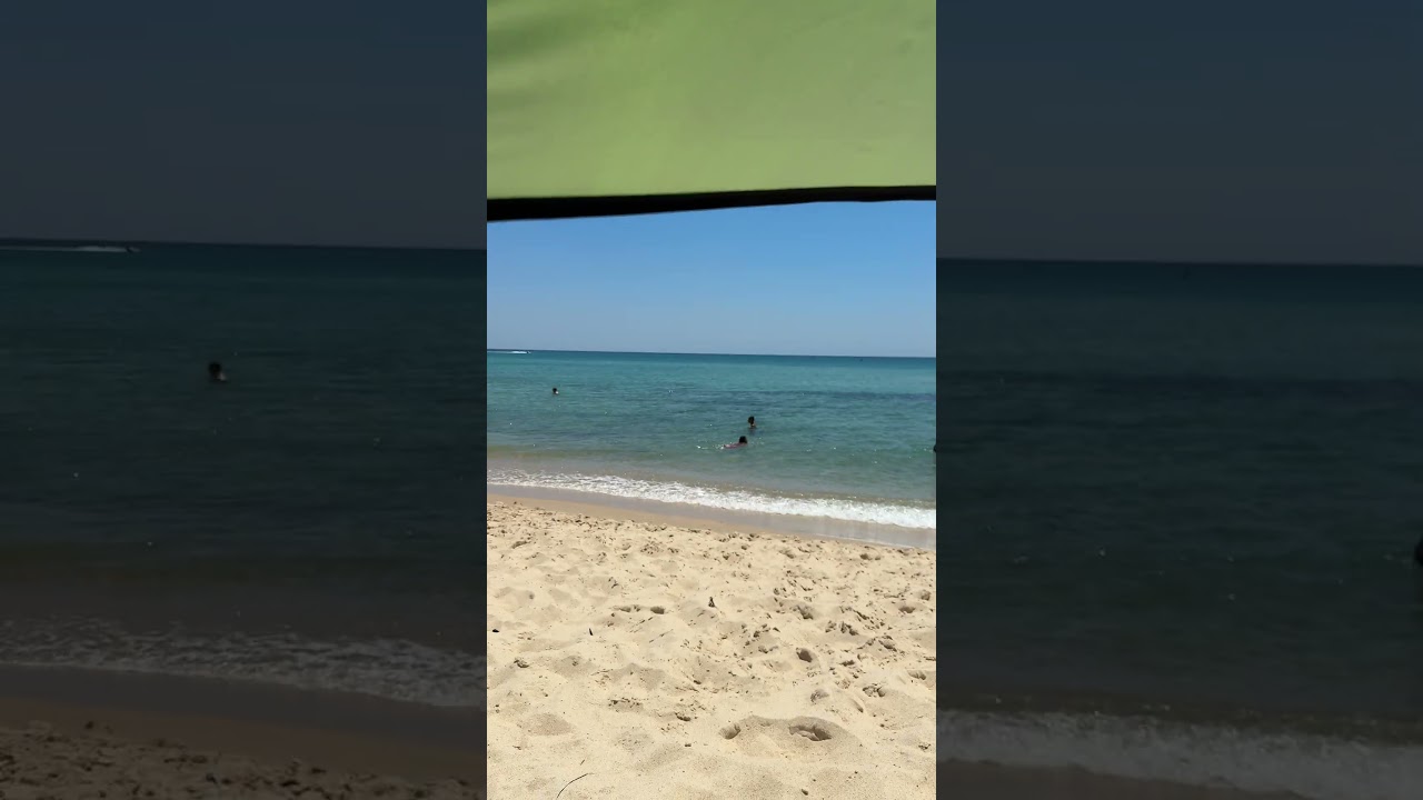 كيف حال البحر في ولايتك #المعلم_زكرياء