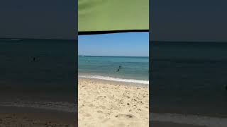 كيف حال البحر في ولايتك #المعلم_زكرياء