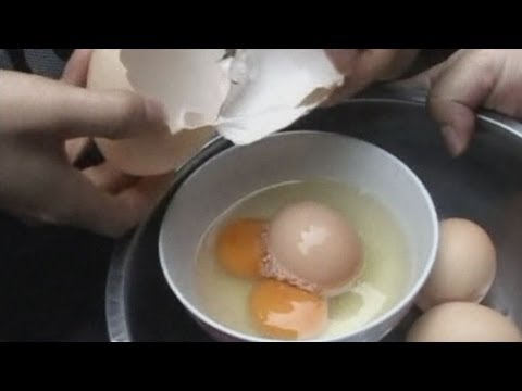 Video: Telur Ayam Dalam Telur Ayam dalam Ayam- Telur Xzibit yang Elusive