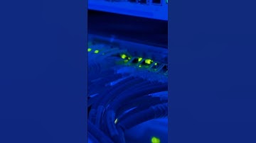 SysAid Remote Code Execution (RCE) Vulnerability - No Login Needed #sysaid #news