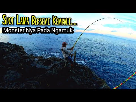 Video: Kebebasan Pemburu Monster